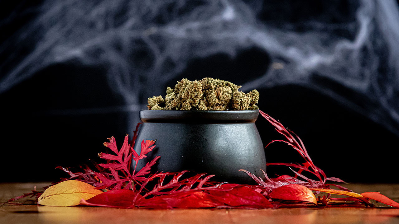 Top 3 Edibles To Try For Halloween!