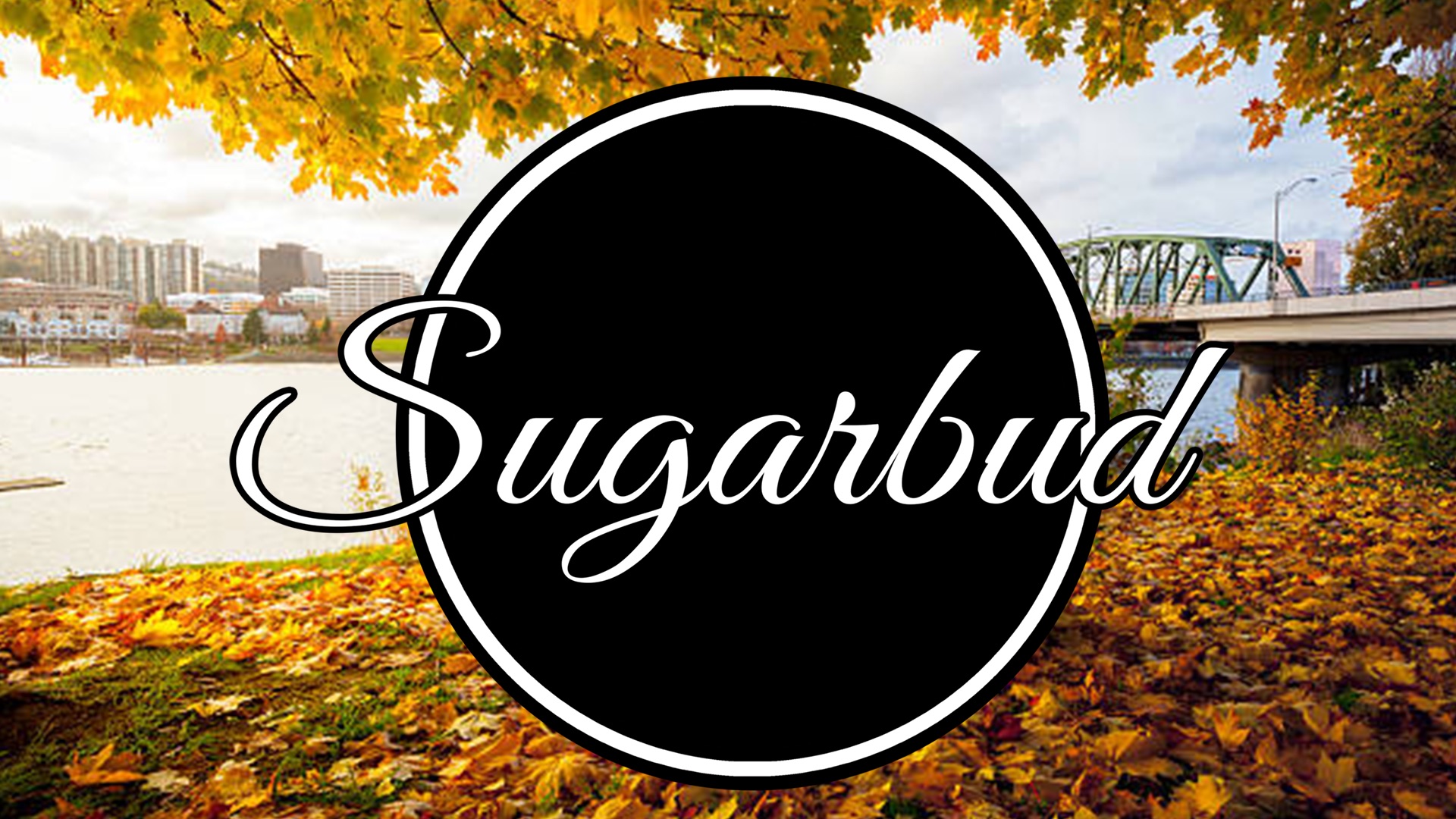 Sugarbud Is Back! NEW Topshelf Options